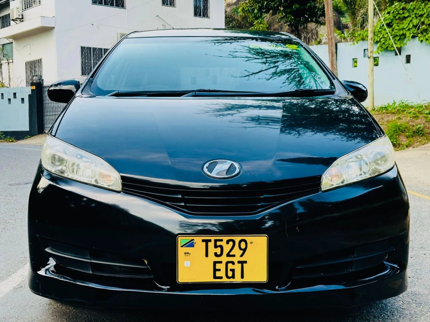 Toyota Wish 2010 Black (7 Seats)