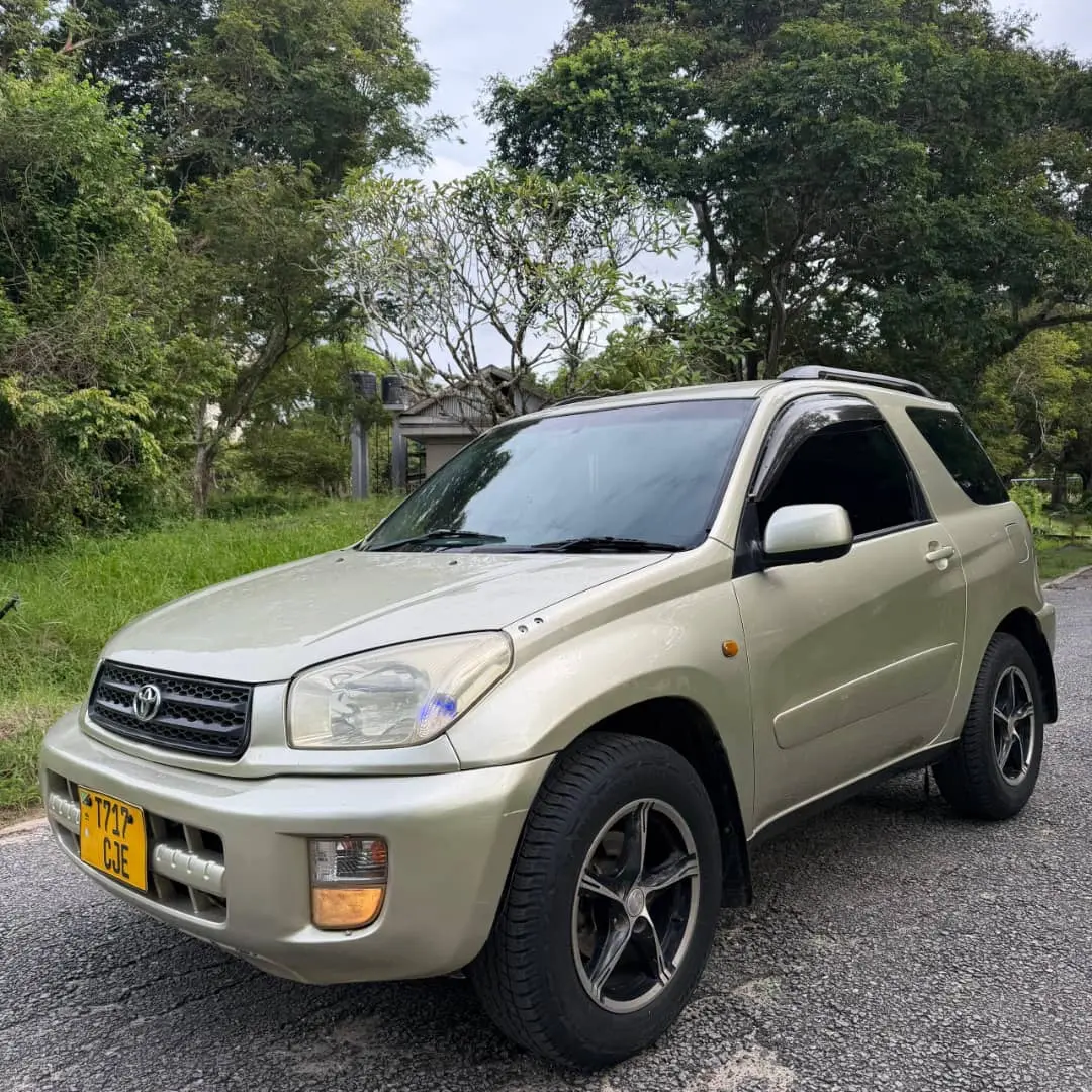 Toyota RAV4 Killtime 2004 thumbnail 4