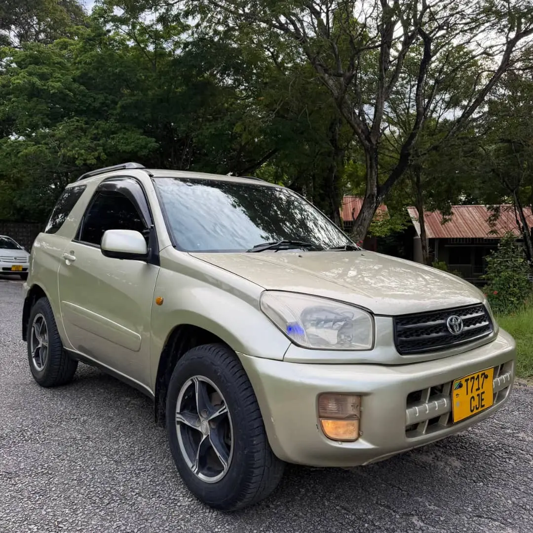 Toyota RAV4 Killtime 2004 thumbnail 5