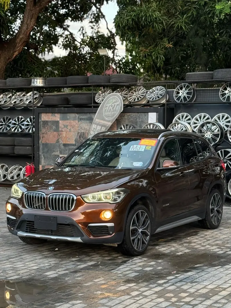 BMW X1 2017 Metallic Brown thumbnail 2