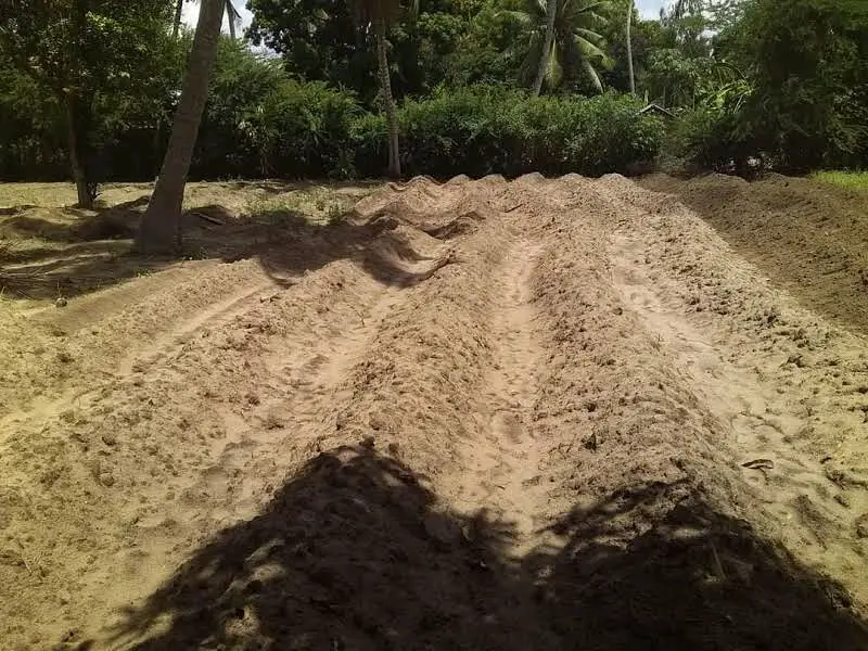 Shamba la Acre 27 Ubena Zomozi (Mkulazi)