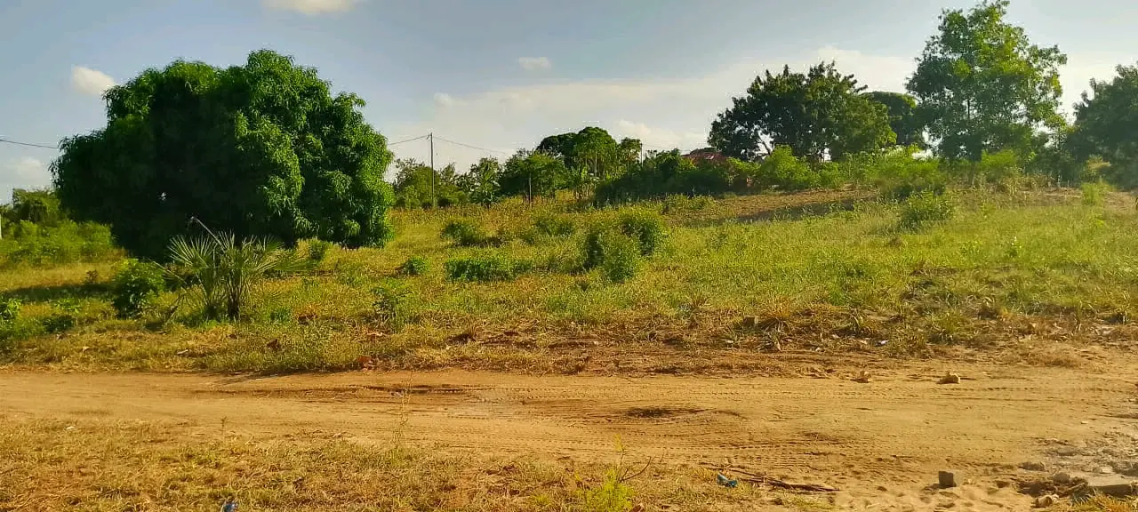 Shamba la Heka 3 Msata Road