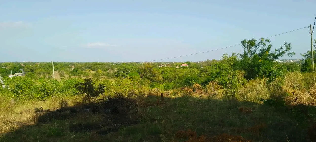 Shamba la Heka 3 Msata Road thumbnail 2