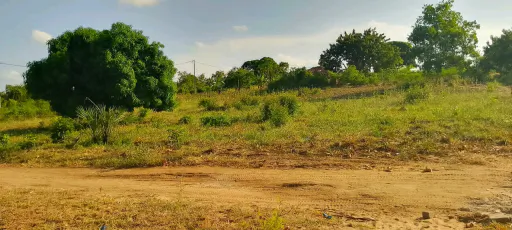 Shamba la Heka 3 Msata Road