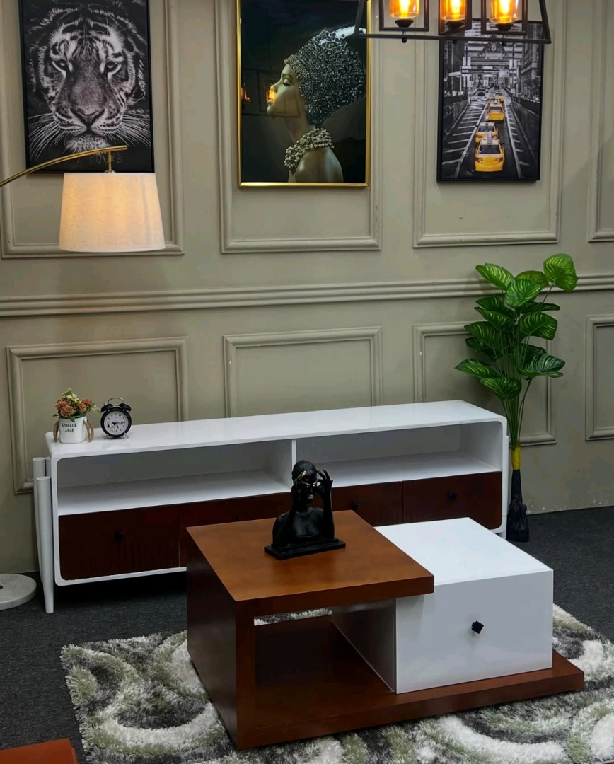 Modern Coffee Table and TV Showcase Set
