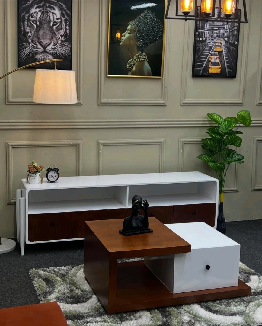 Modern Coffee Table and TV Showcase Set thumbnail 3