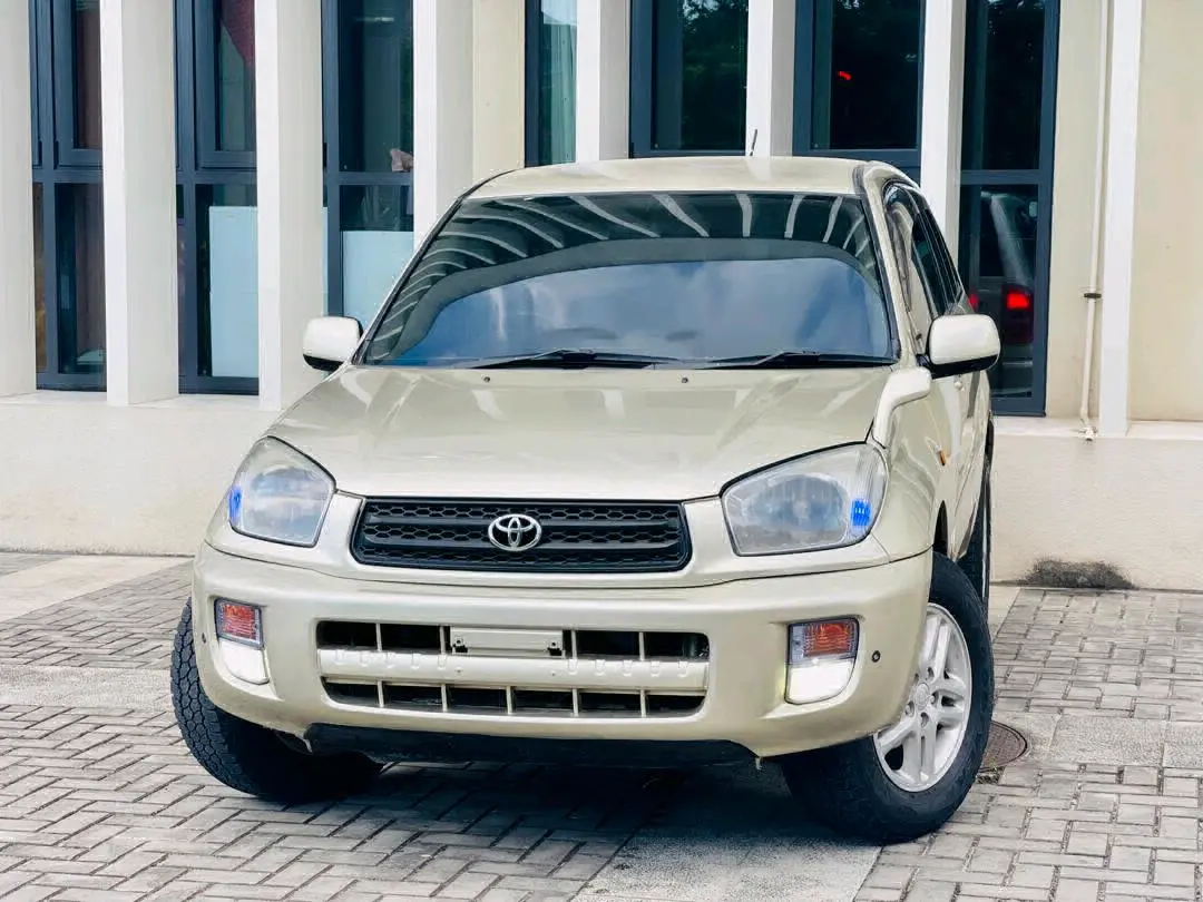 Toyota RAV4 L 2003 Gold