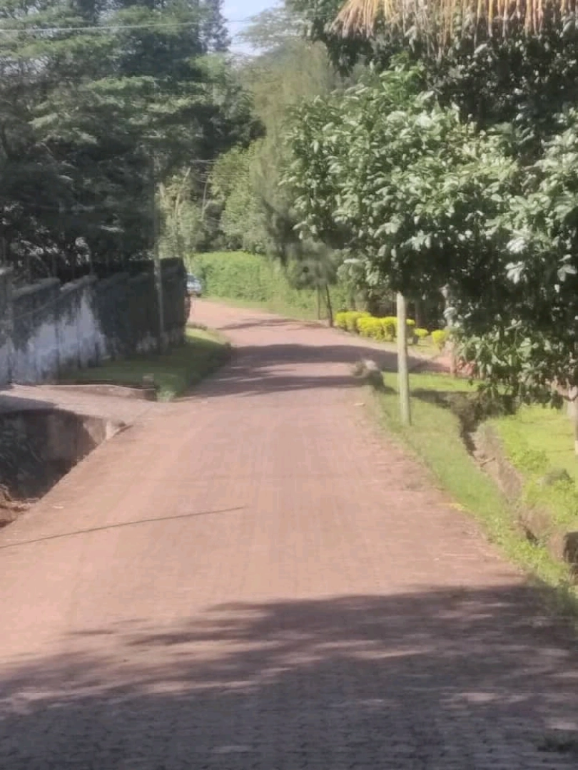 4-Bedroom House for Rent in Themi Hills, Arusha thumbnail 3