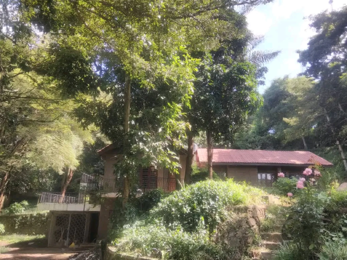 4-Bedroom House for Rent in Themi Hills, Arusha thumbnail 7