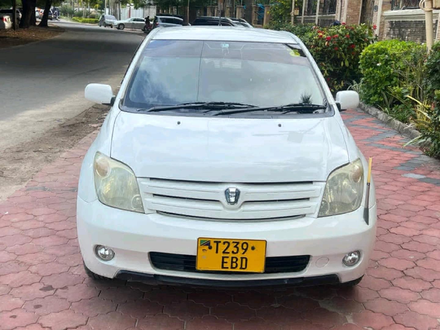 Toyota IST 2005 Pearl White Low Mileage