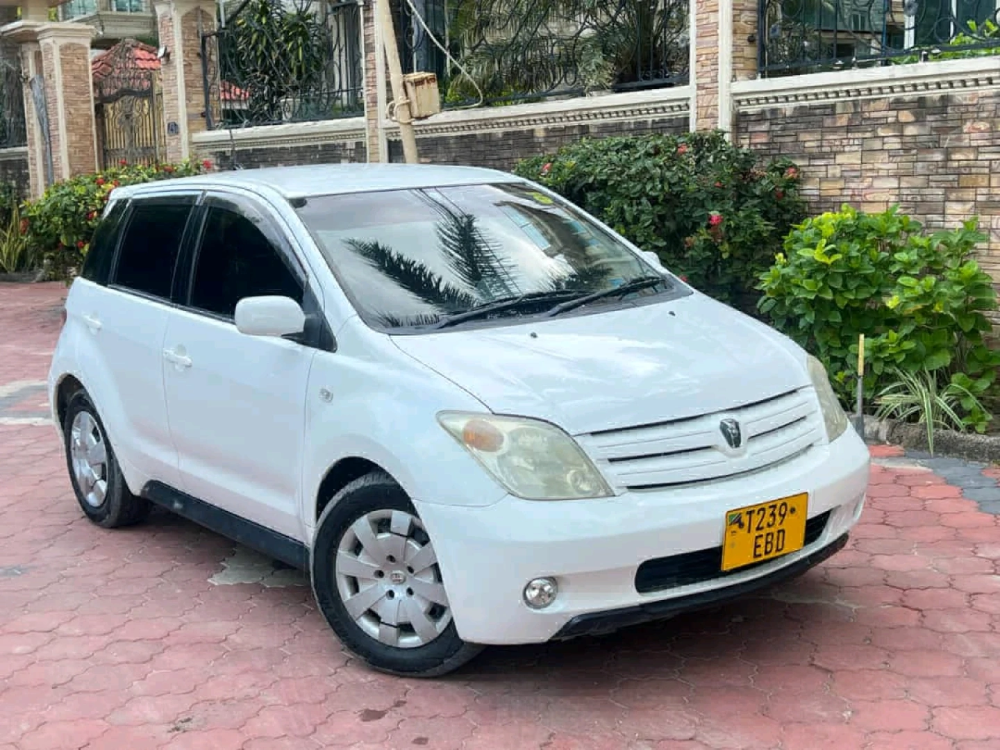 Toyota IST 2005 Pearl White Low Mileage thumbnail 5