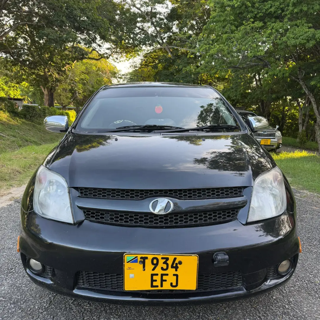 Toyota Ist 2006 thumbnail 2