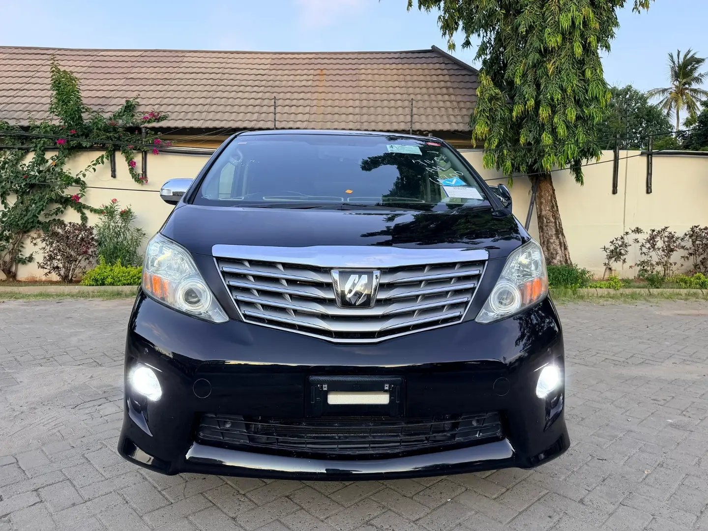 Toyota Alphard 2010 thumbnail 2