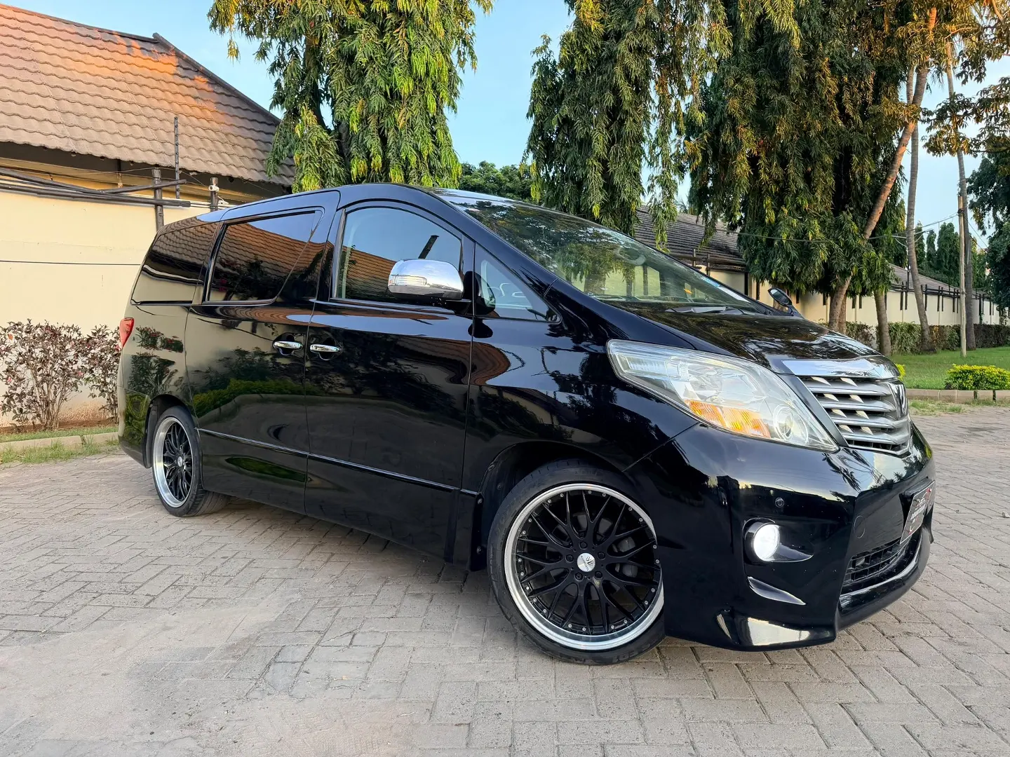 Toyota Alphard 2010 thumbnail 4
