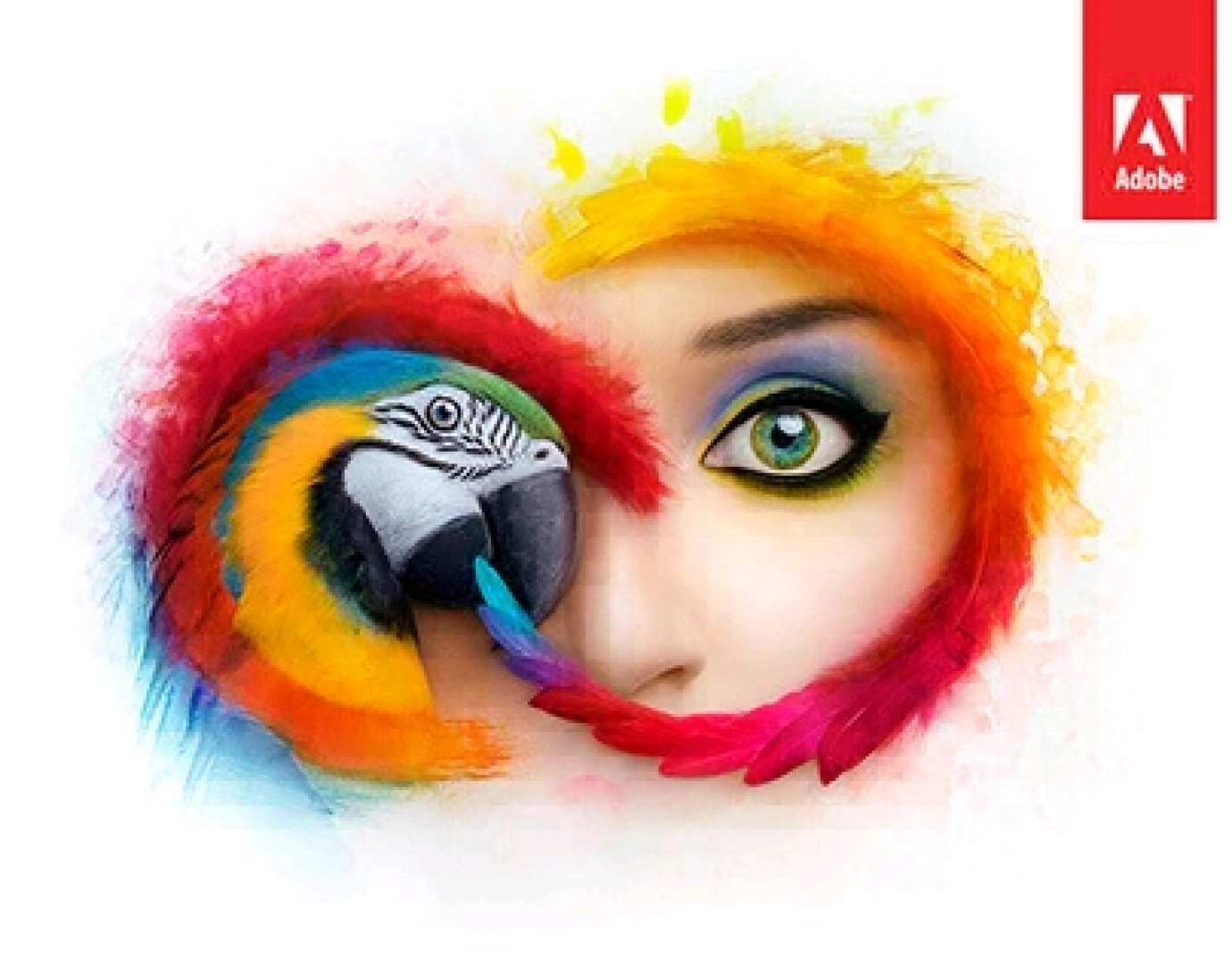 Adobe Master Collection 2019 Software (Lifetime License)