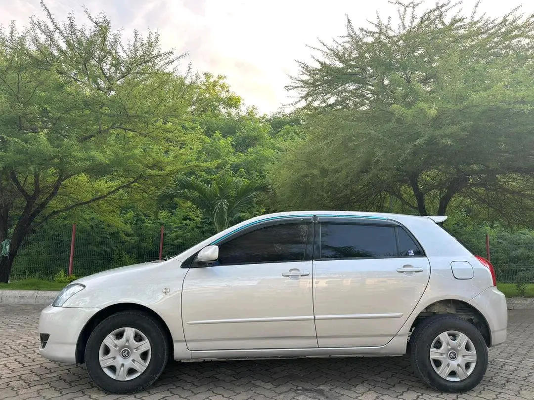 Silver Toyota Runx (DGW) thumbnail 4
