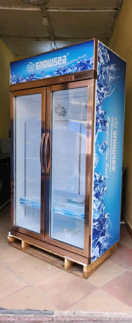 New Snowsea Double Door Commercial Display Refrigerator thumbnail 2