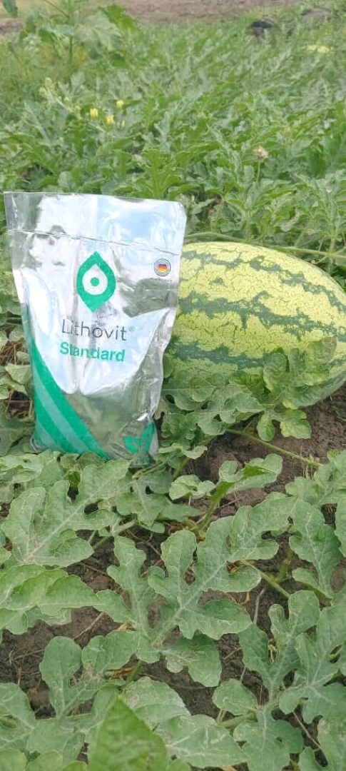 Lithovit Standard Powder Fertilizer (Mbolea ya Unga)