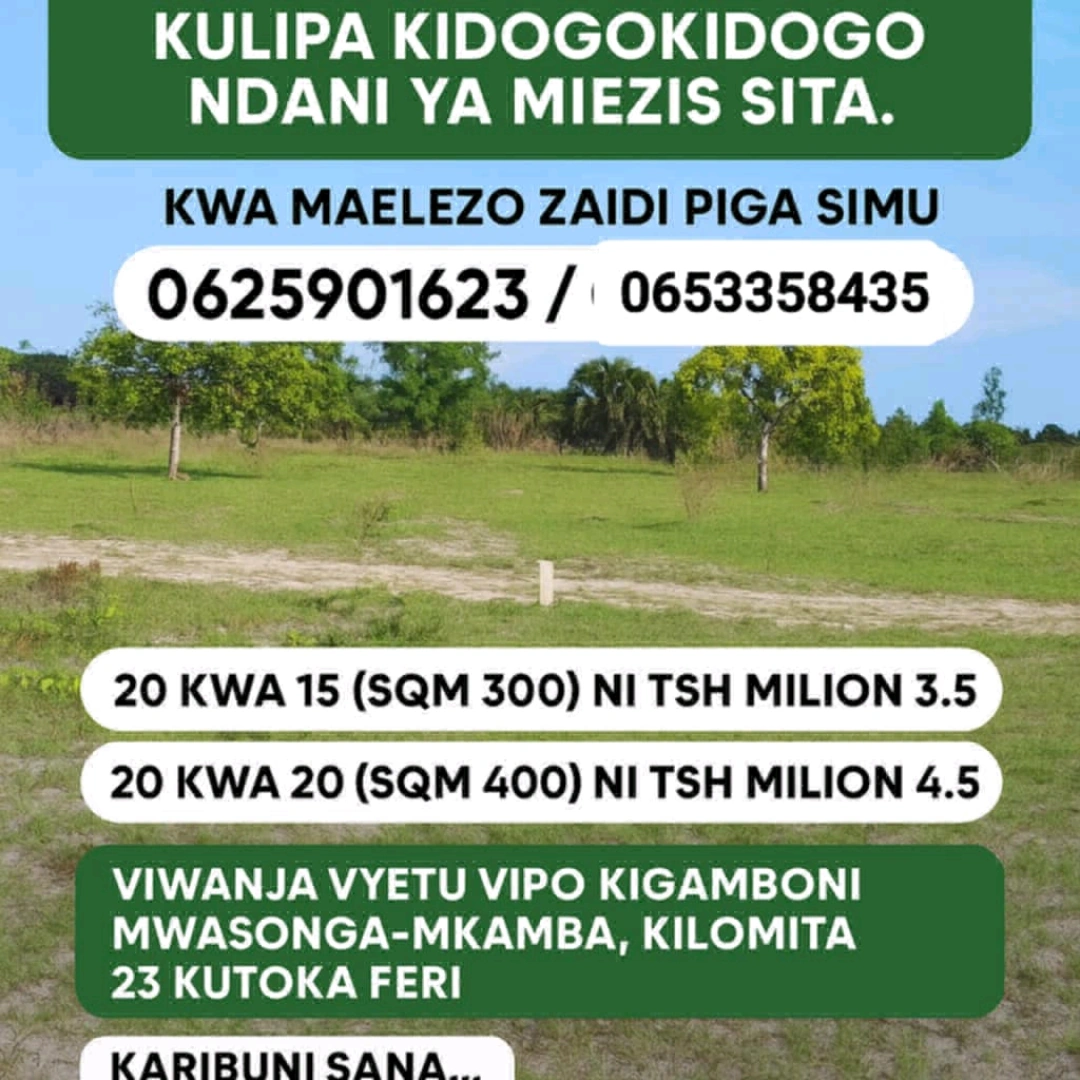 Viwanja vya Ardhi Kigamboni Mwasonga-Mkamba (300/400 sqm) thumbnail 2