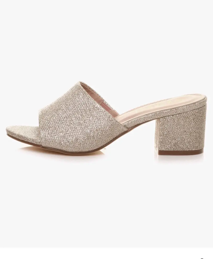 Ajvani Ladies Silver Glittery Mules thumbnail 2