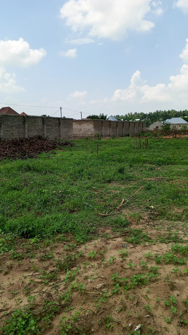 Viwanja vya Kitonga Ilala (40x50 ft)