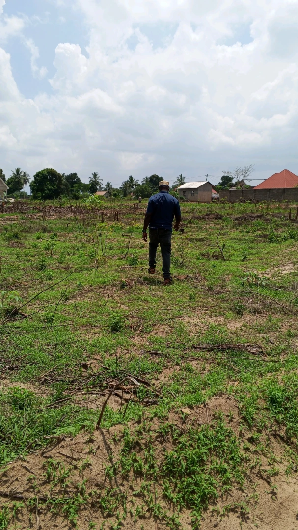 Viwanja vya Kitonga Ilala (40x50 ft) thumbnail 2