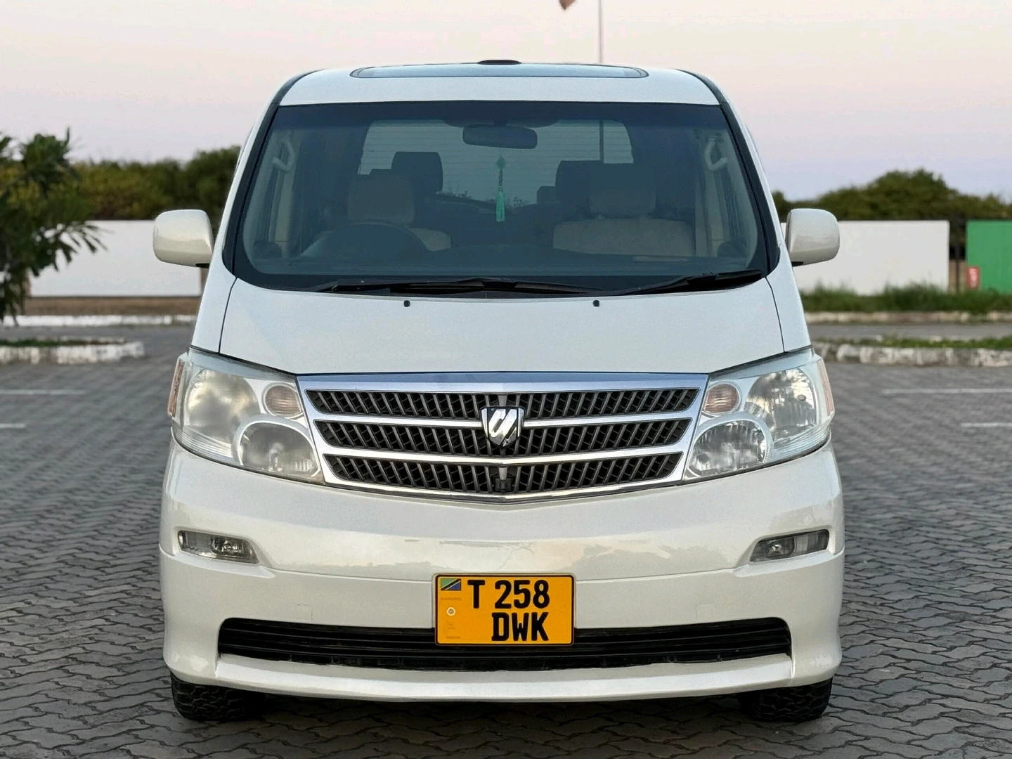 Toyota Alphard 2004 Minivan