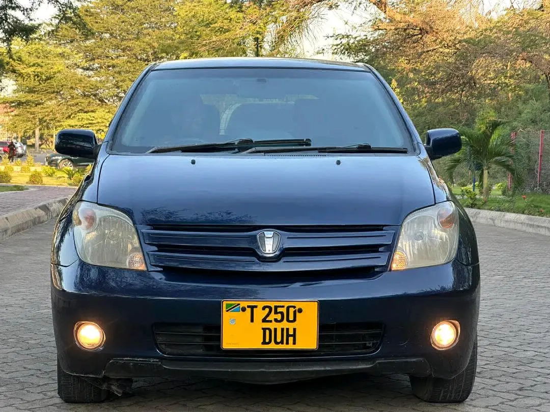 Toyota Ist 2004 Blue