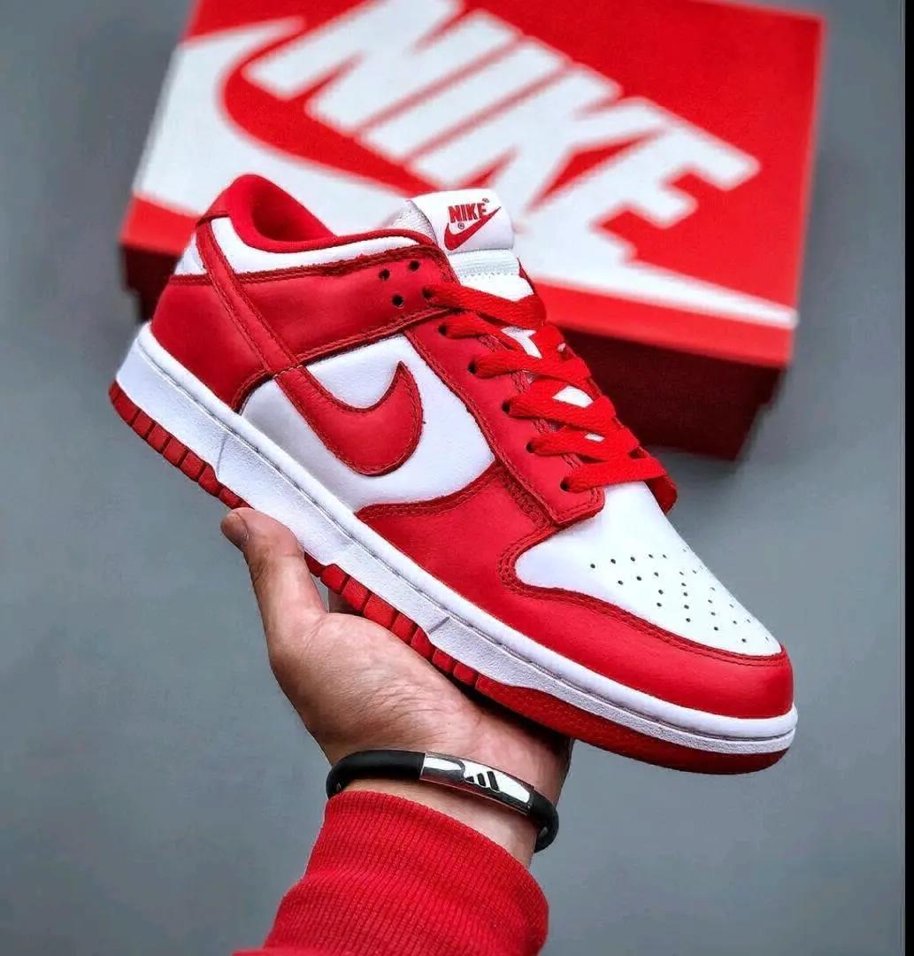 Nike Dunk Low Sneakers