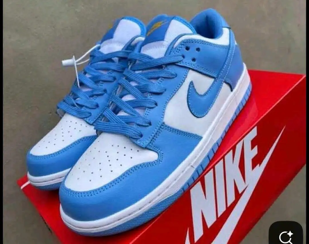 Nike Dunk Low Sneakers thumbnail 2