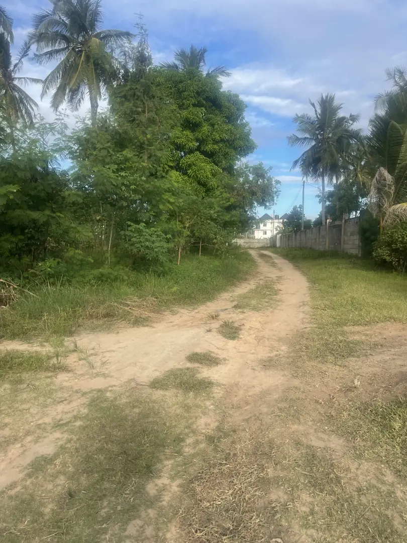 1 Acre Plot in Mwanagati near Kitunda Road thumbnail 3