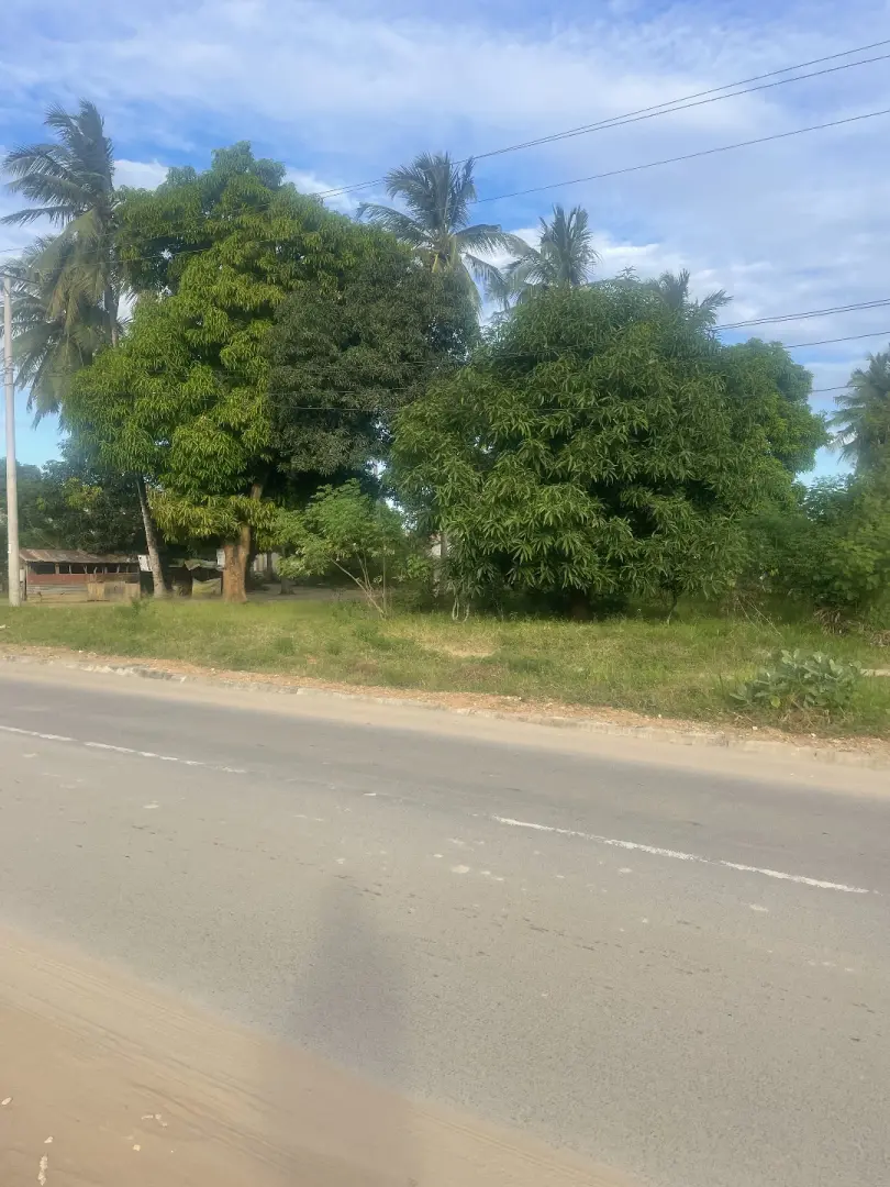 1 Acre Plot in Mwanagati near Kitunda Road thumbnail 4
