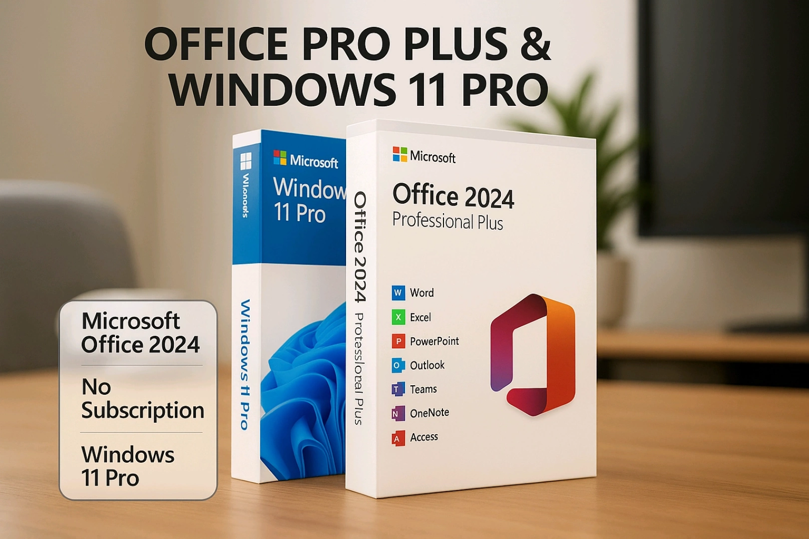 Windows 11 Pro & Microsoft Office 2024 Installation Service thumbnail 3