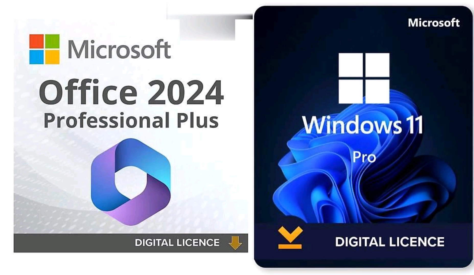Windows 11 Pro & Microsoft Office 2024 Installation Service thumbnail 4
