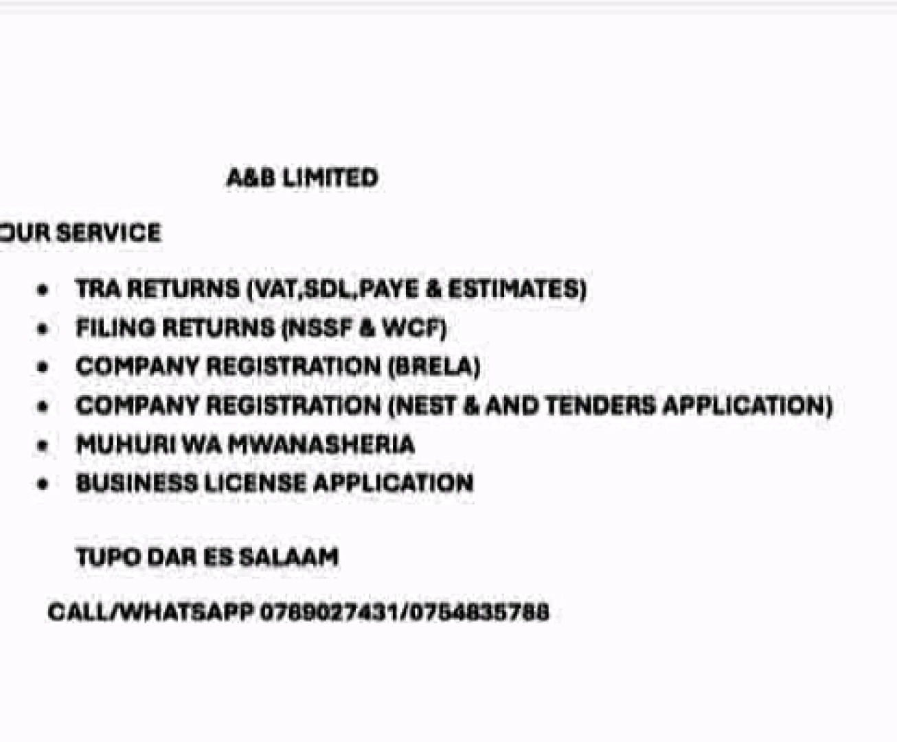 Business and Tax Consultancy Services (A & B LIMITED)
