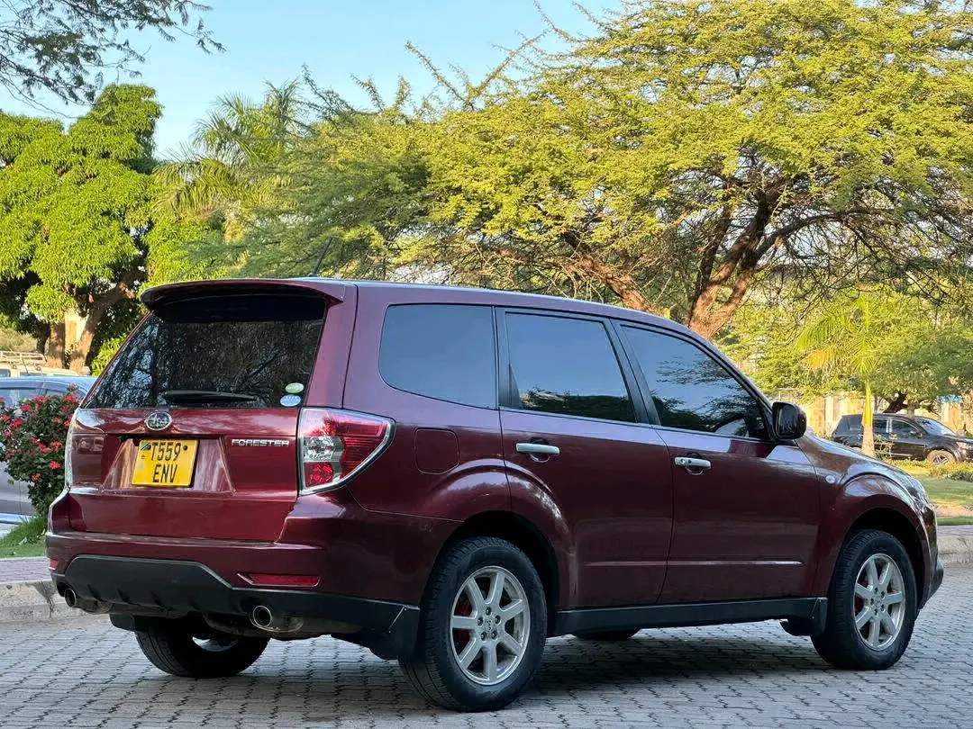 Subaru Forester 2009 (ENV) thumbnail 6