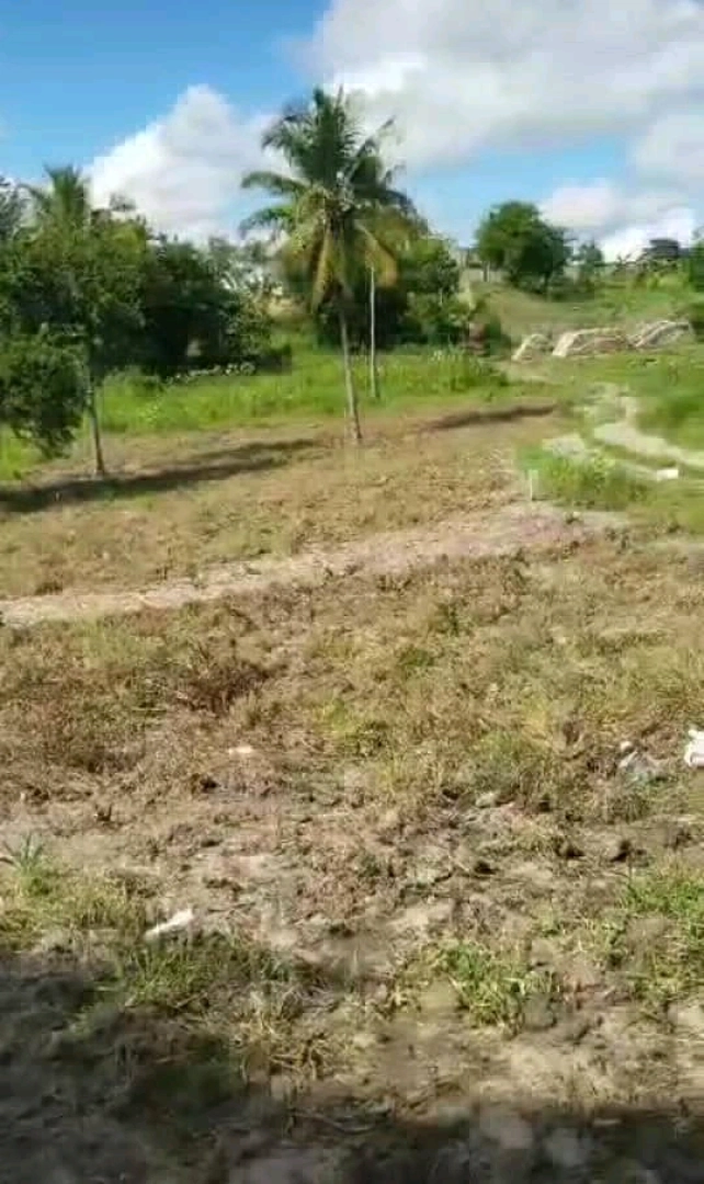 Viwanja Vizuri Kibaha Maili Moja 20m x 20m thumbnail 2