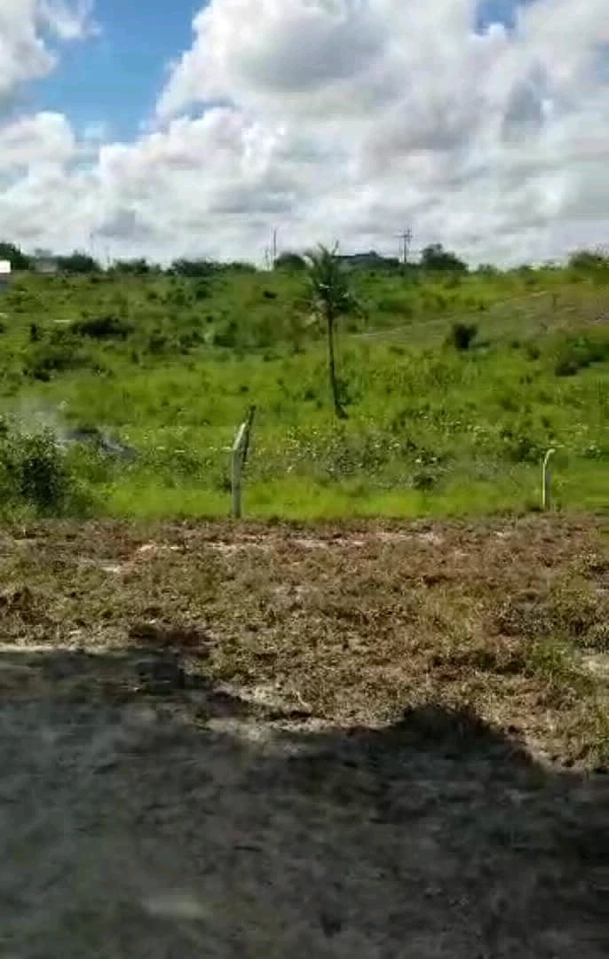 Viwanja Vizuri Kibaha Maili Moja 20m x 20m thumbnail 3