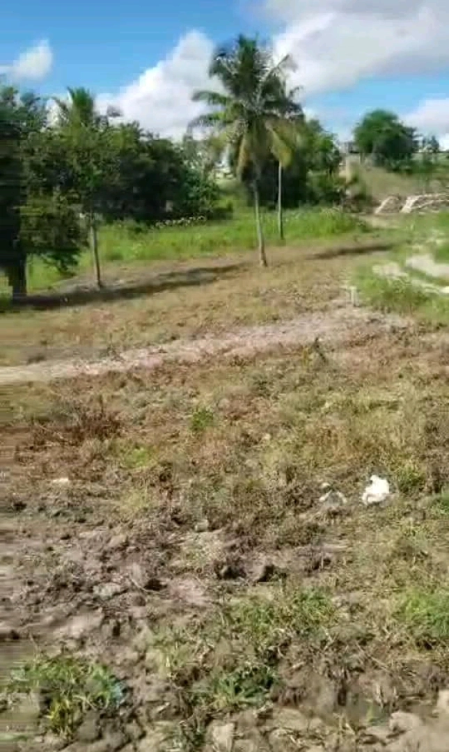 Viwanja Vizuri Kibaha Maili Moja 20m x 20m thumbnail 4