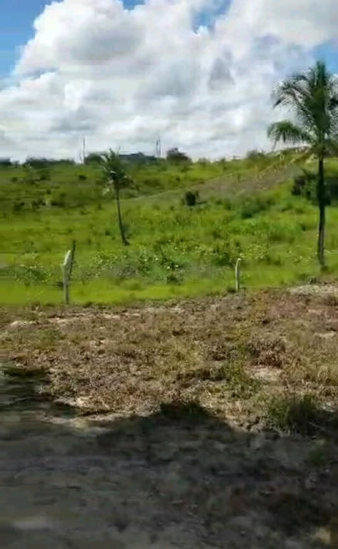Viwanja Vizuri Kibaha Maili Moja 20m x 20m thumbnail 6