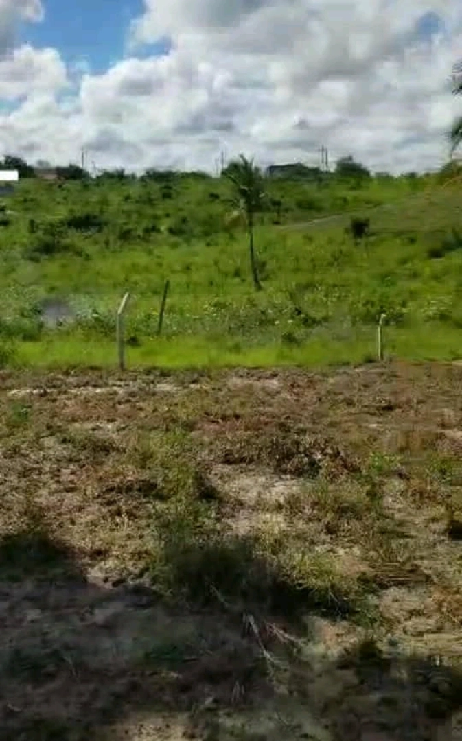Viwanja Vizuri Kibaha Maili Moja 20m x 20m thumbnail 7