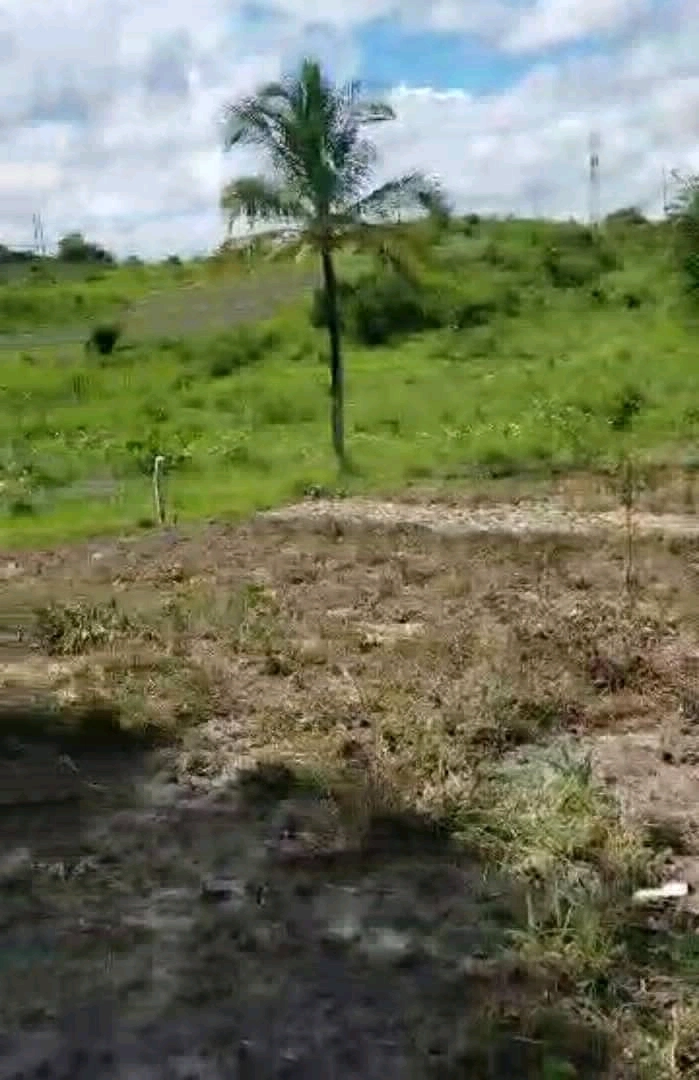 Viwanja Vizuri Kibaha Maili Moja 20m x 20m thumbnail 8