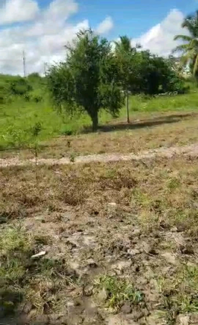 Viwanja Vizuri Kibaha Maili Moja 20m x 20m thumbnail 9