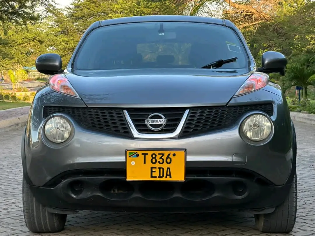 Nissan Juke 2011 (EDA)