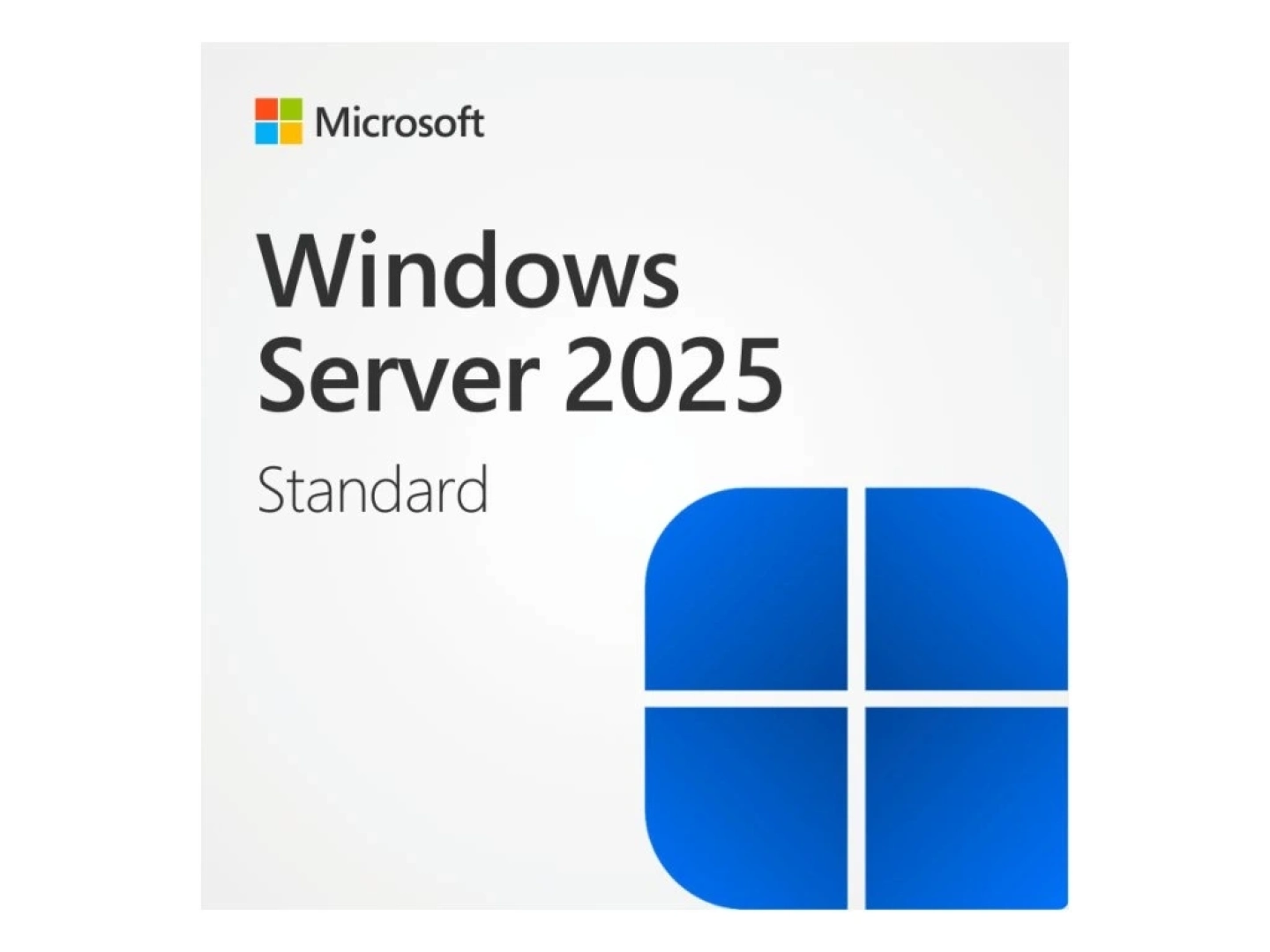 Microsoft Windows Server 2025 Standard License (1 User)