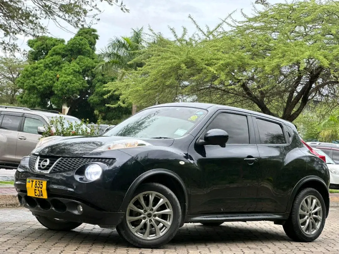 Nissan Juke 2011 thumbnail 2