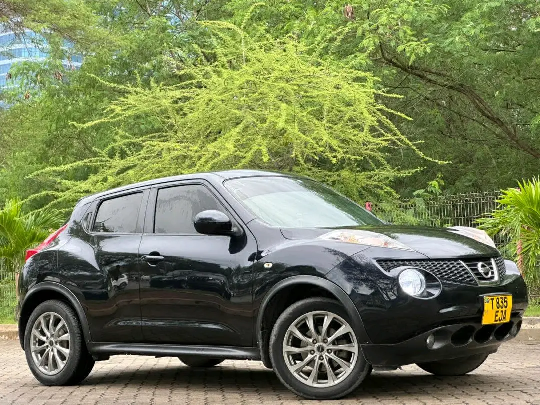 Nissan Juke 2011 thumbnail 3