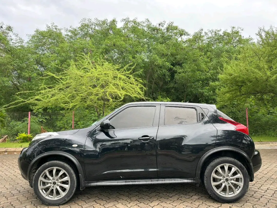 Nissan Juke 2011 thumbnail 4