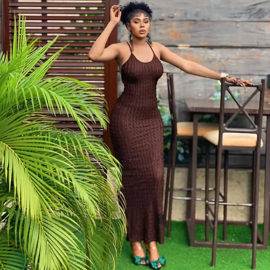 Sheer Brown Maxi Dress thumbnail 4