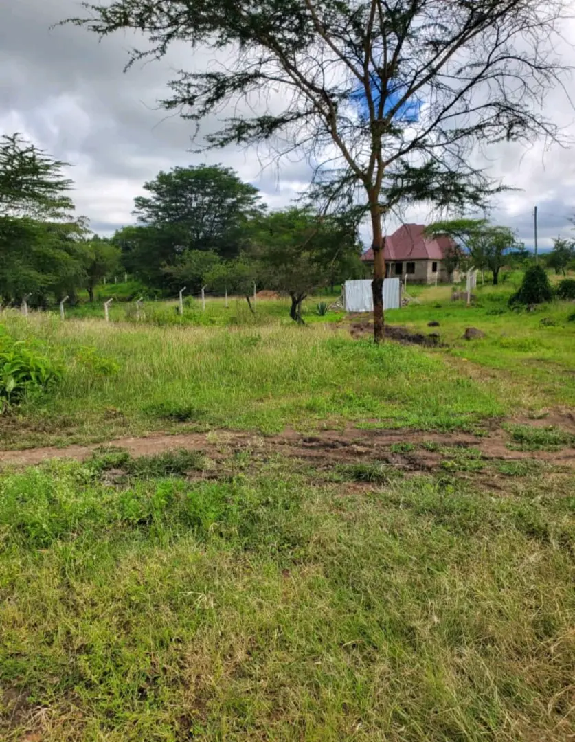 Viwanja bei nafuu Arusha na Kilimanjaro